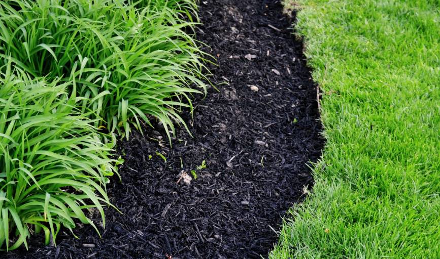 Mulching